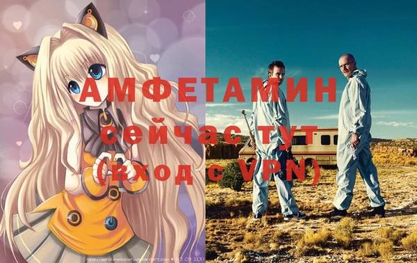дмт Белокуриха