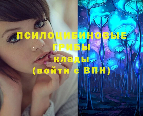 дмт Белокуриха