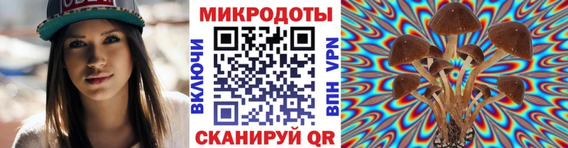 Псилоцибиновые грибы мицелий  где найти   Ессентукская 